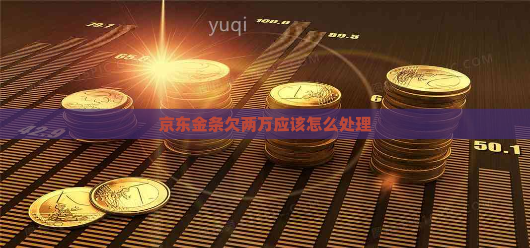 京东金条欠两万应该怎么处理