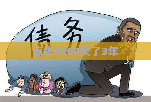 京东4500欠了3年