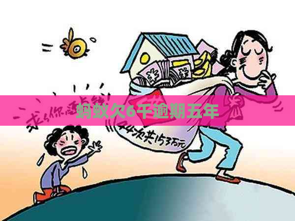 蚂蚁欠6千逾期五年