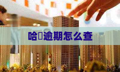 哈啰逾期怎么查