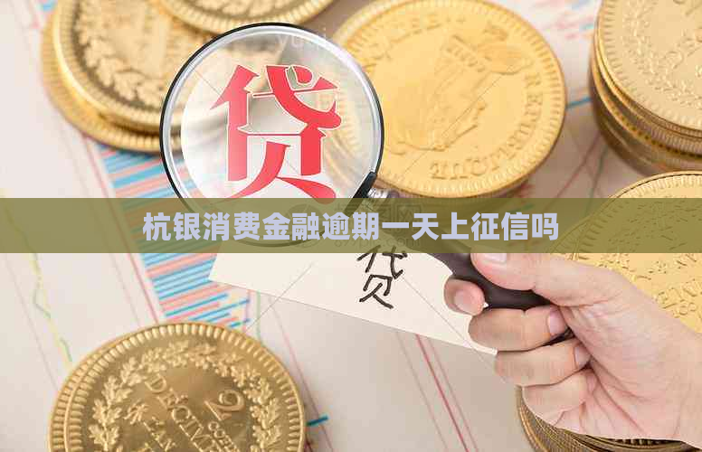 杭银消费金融逾期一天上吗