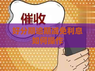逾期减免利息如何操作