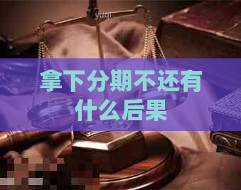 拿下分期不还有什么后果