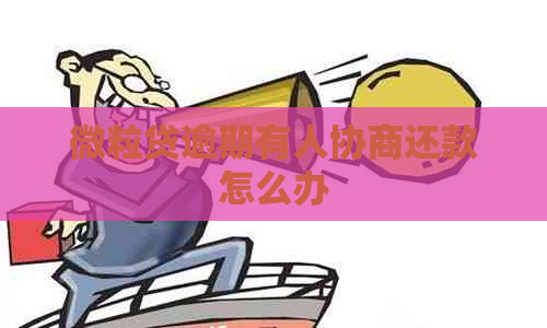 微粒贷逾期有人协商还款怎么办
