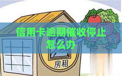 信用卡逾期停止怎么办