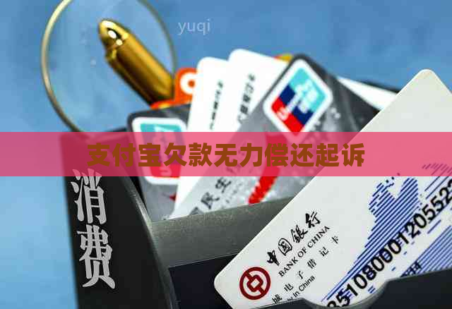 支付宝欠款无力偿还起诉