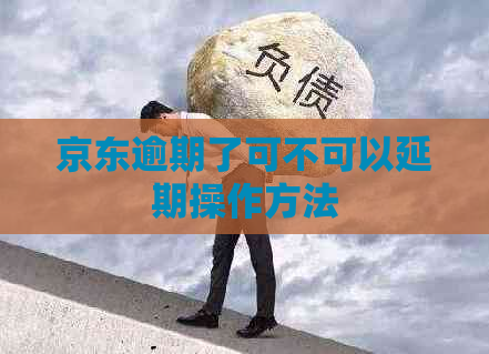 京东逾期了可不可以延期操作方法