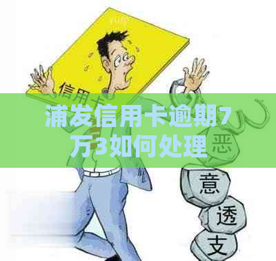 浦发信用卡逾期7万3如何处理
