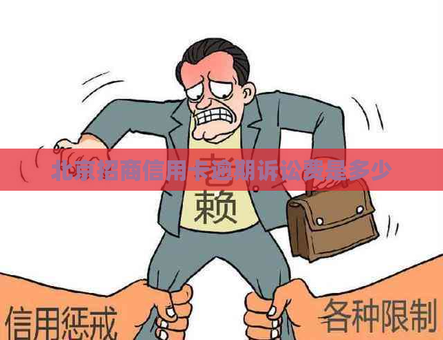 北京招商信用卡逾期诉讼费是多少