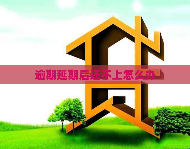 逾期延期后还不上怎么办