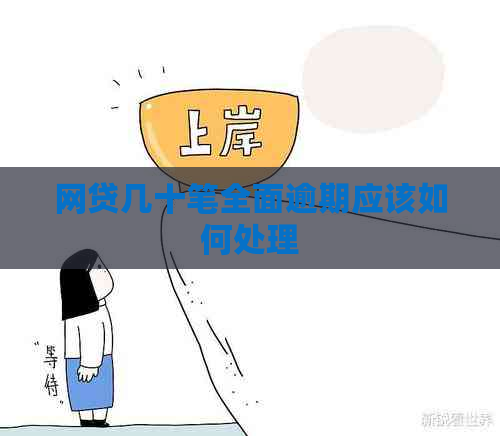 网贷几十笔全面逾期应该如何处理