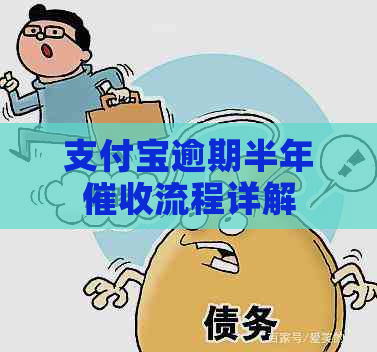 支付宝逾期半年流程详解