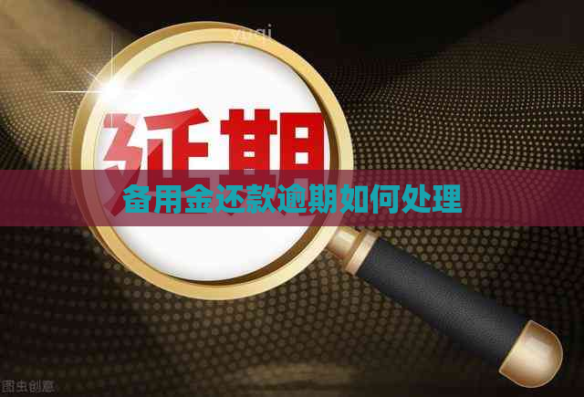 备用金还款逾期如何处理
