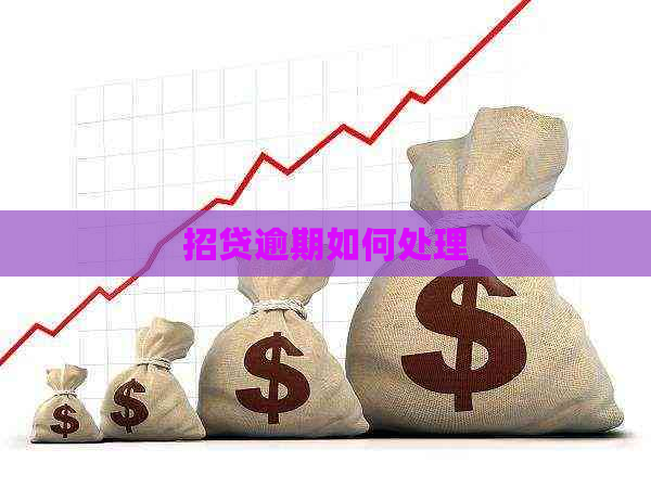 招贷逾期如何处理
