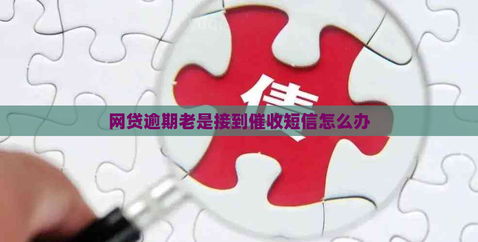 网贷逾期老是接到短信怎么办
