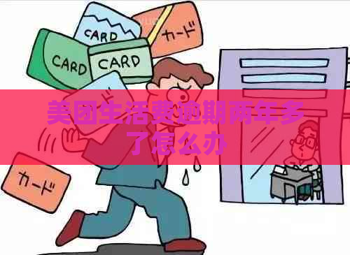 美团生活费逾期两年多了怎么办