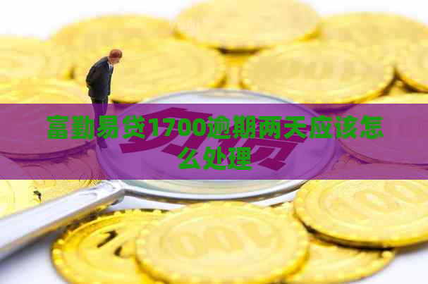 富勤易贷1700逾期两天应该怎么处理