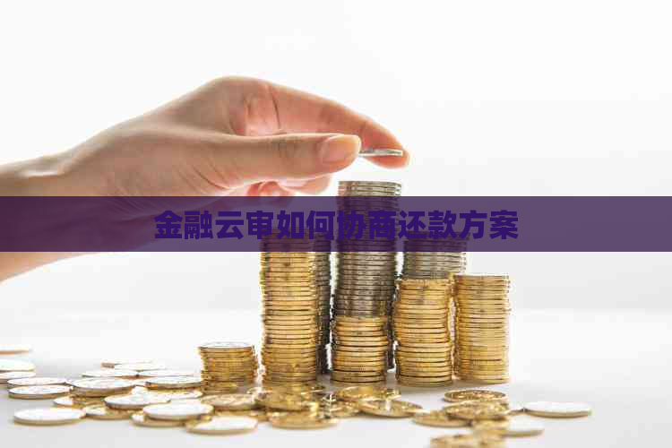 金融云审如何协商还款方案