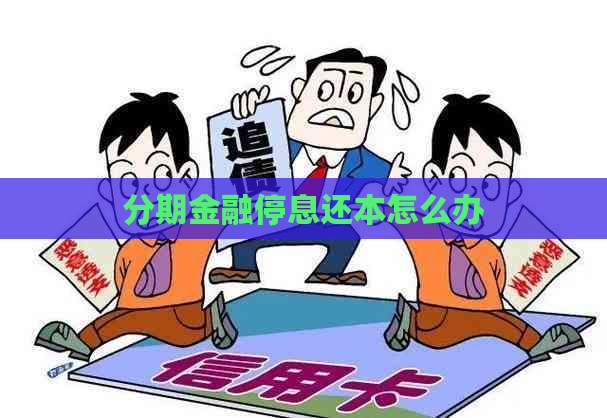 分期金融停息还本怎么办