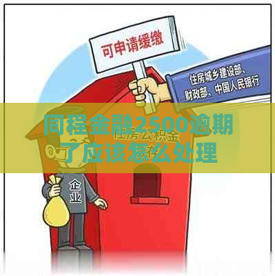同程金融2500逾期了应该怎么处理
