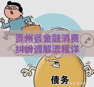 贵州省金融消费纠纷调解流程详解