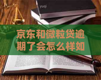 京东和微粒贷逾期了会怎么样如何处理