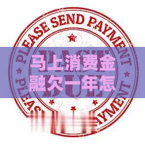 马上消费金融欠一年怎么办