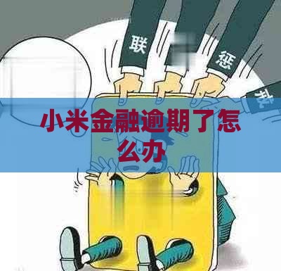 小米金融逾期了怎么办