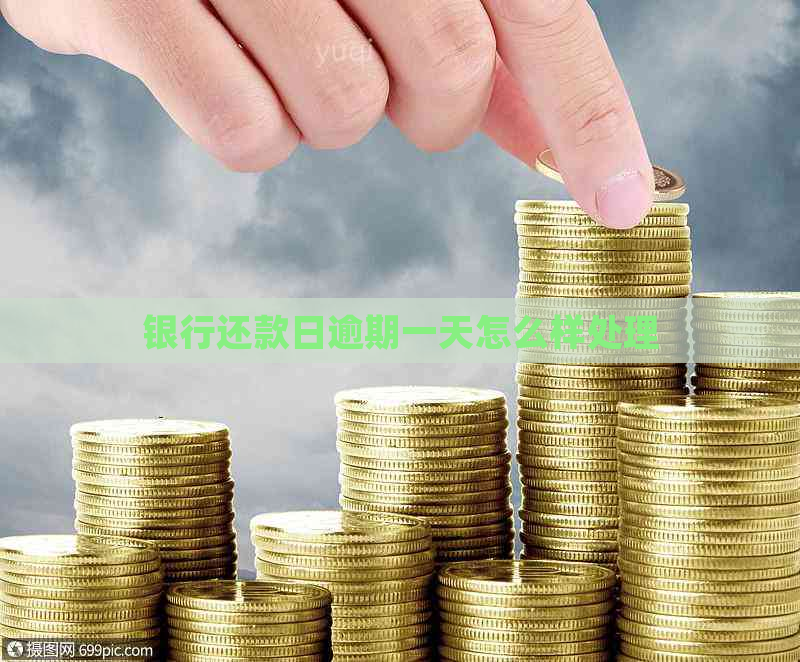 银行还款日逾期一天怎么样处理