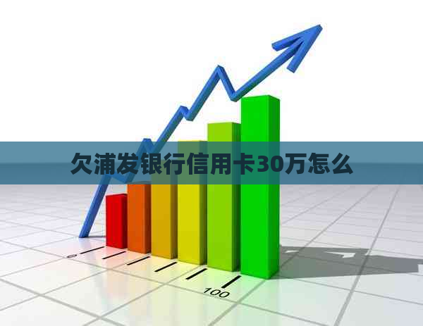 欠浦发银行信用卡30万怎么