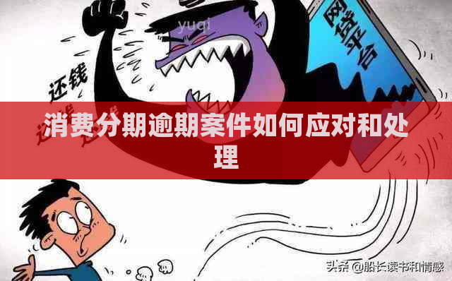 消费分期逾期案件如何应对和处理
