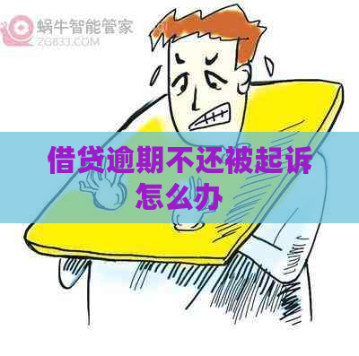 借贷逾期不还被起诉怎么办