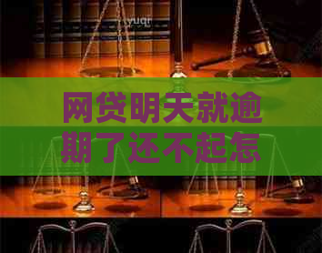 网贷明天就逾期了还不起怎么办