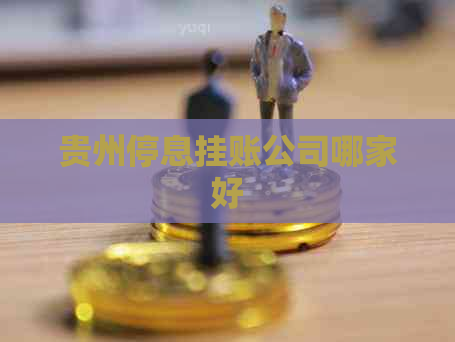 贵州停息挂账公司哪家好