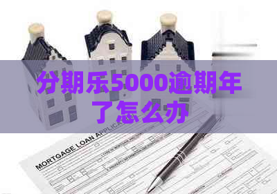 5000逾期年了怎么办