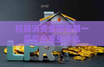 杭银消费金融逾期一周后会发生什么