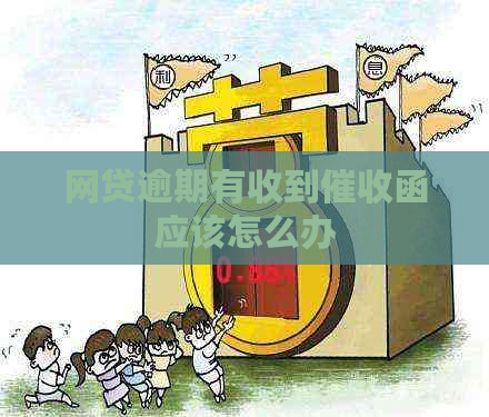 网贷逾期有收到函应该怎么办