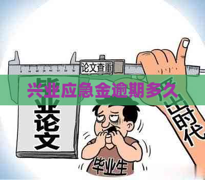 兴业应急金逾期多久