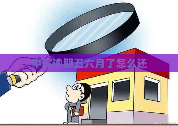 中信逾期五六月了怎么还