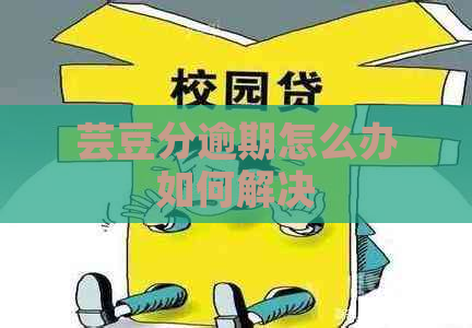 芸豆分逾期怎么办如何解决