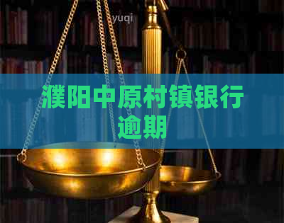 濮阳中原村镇银行逾期