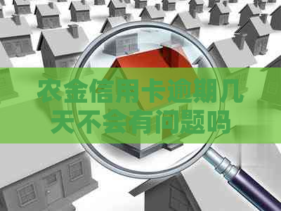 农金信用卡逾期几天不会有问题吗