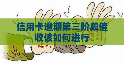 信用卡逾期第三阶段该如何进行