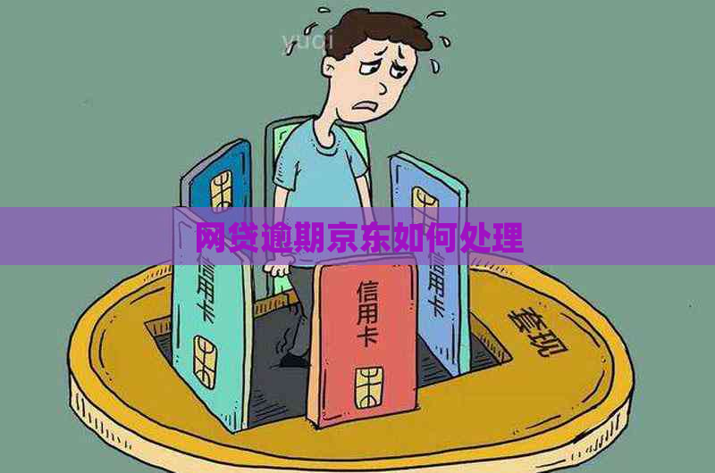 网贷逾期京东如何处理