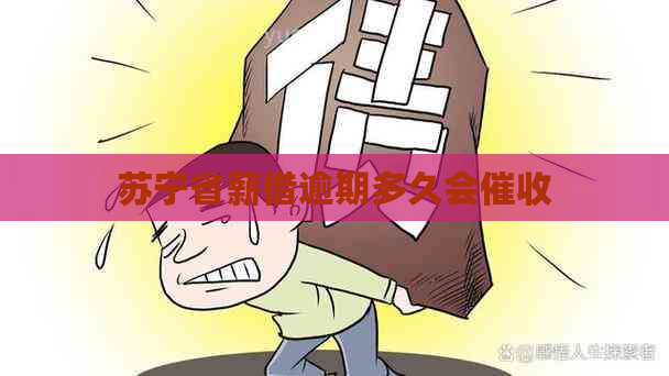 苏宁省薪借逾期多久会