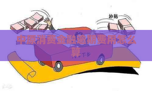 中原消费金融逾期费用怎么算