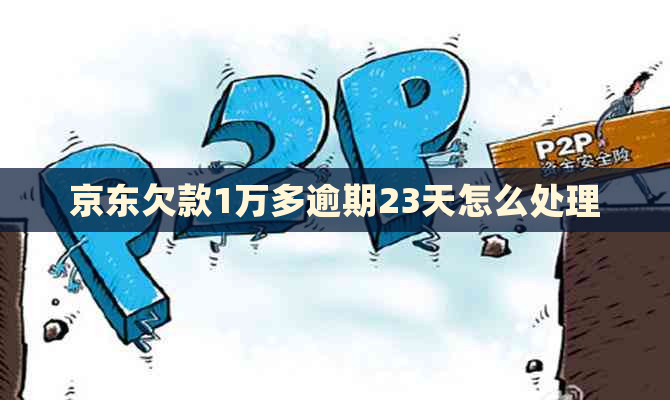 京东欠款1万多逾期23天怎么处理