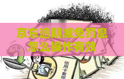京东逾期减免罚息怎么操作有效