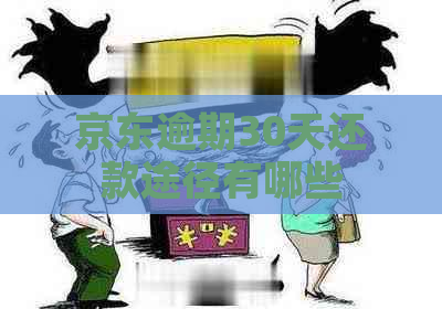京东逾期30天还款途径有哪些