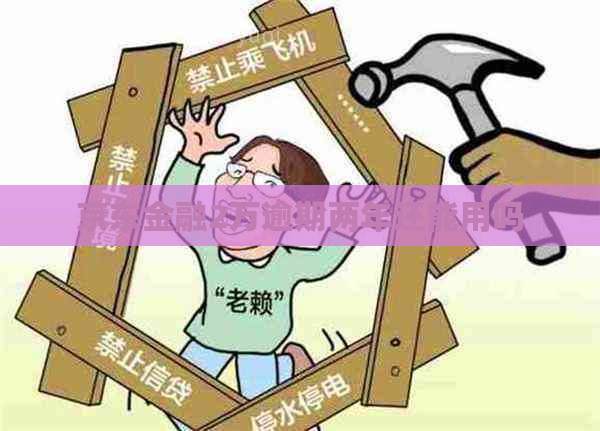 京东金融2万逾期两年还能用吗